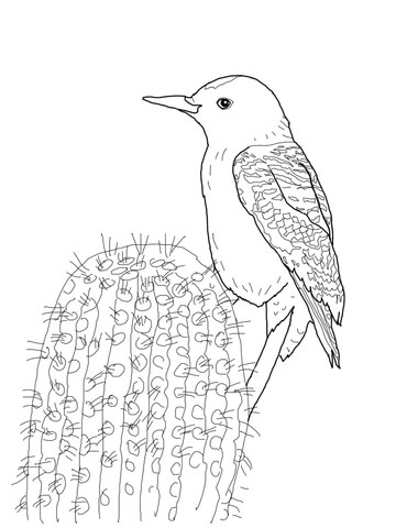 Gila Woodpecker Coloring Page